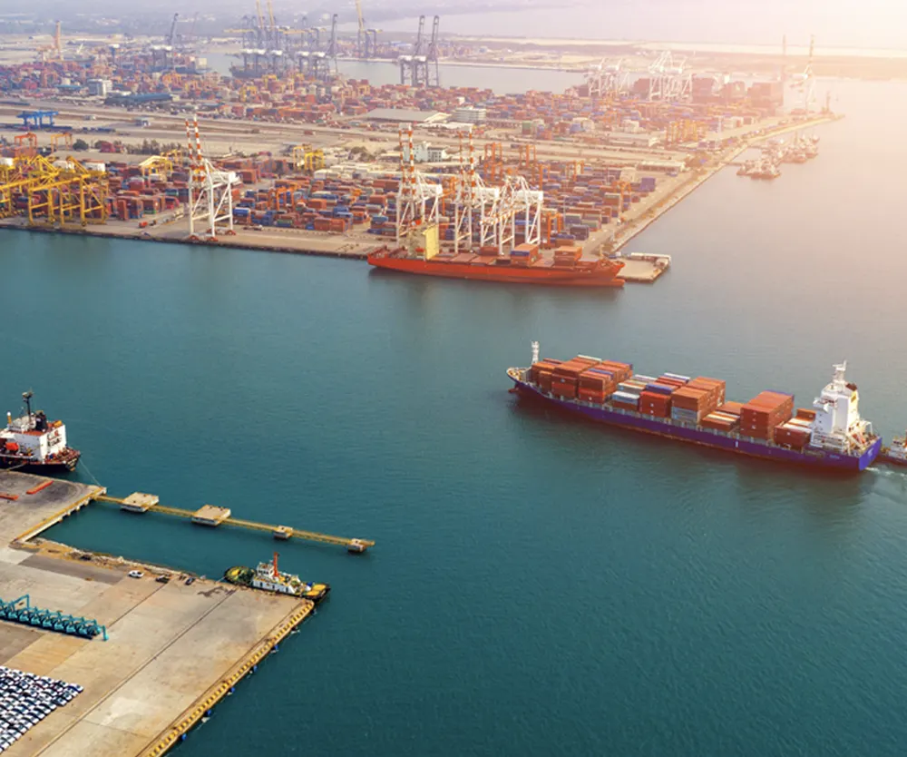 Case Studies - Radio Activity