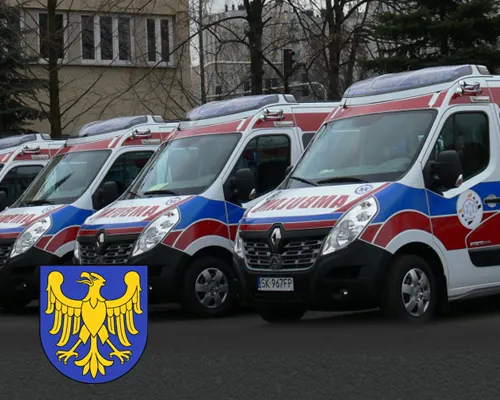 Silesia Case Study link