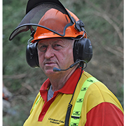 Black Forest Case Studies