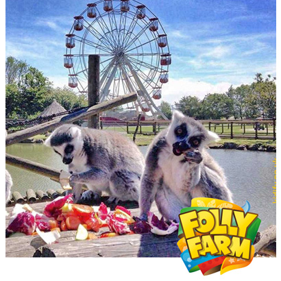KENWOOD Comms & Folly Farm Adventure Park and Zoo