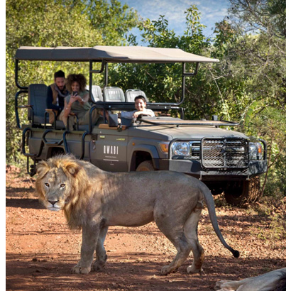 KENWOOD Comms & Qwabi Private Game Reserve, South Africa