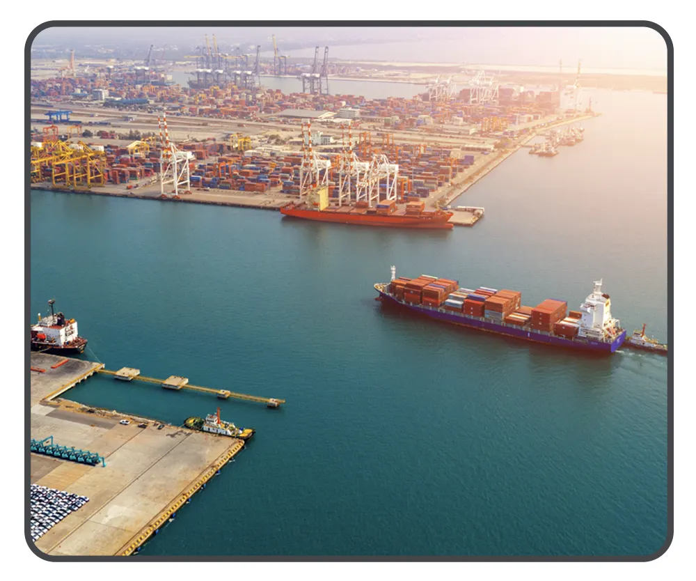 Case Studies - Radio Activity