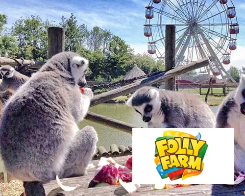 Folly Farm Adventure Park & Zoo link
