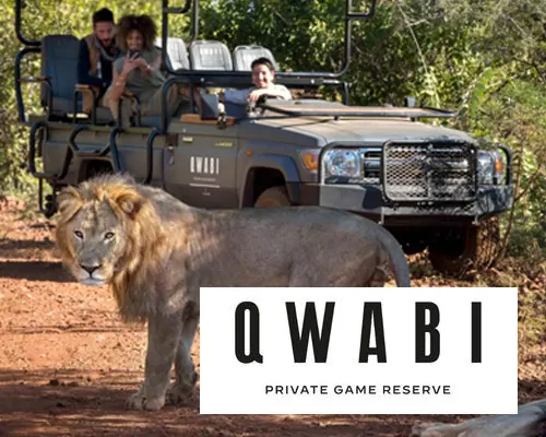 Qwabi Private Game Reserve Case Study link