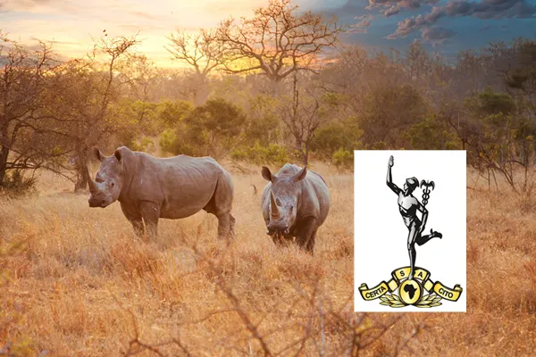 SANDF's SA Army Signal Formation