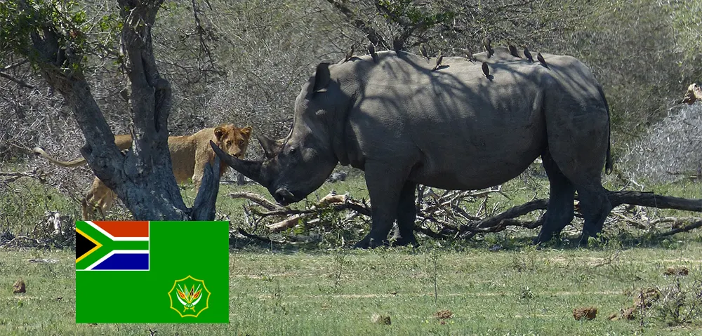 KENWOOD NEXEDGE in Kruger Nation Park