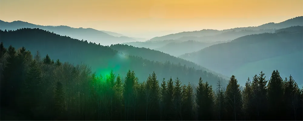 Black Forest sunrise