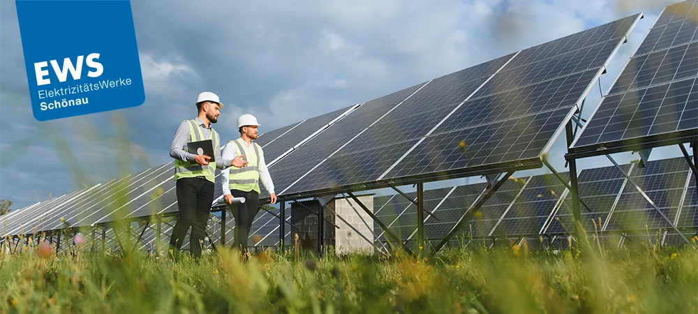 EWS - KENWOOD NEXEDGE