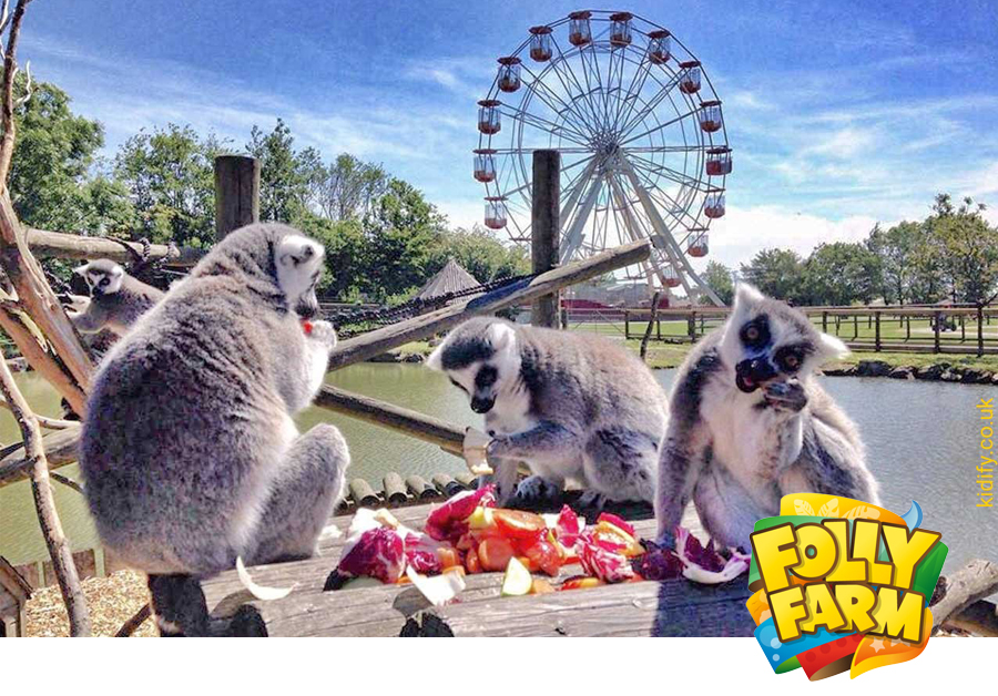 KENWOOD DMR system provides a smooth transition from analogue to digital communications at Folly Farm Adventure Park & Zoo