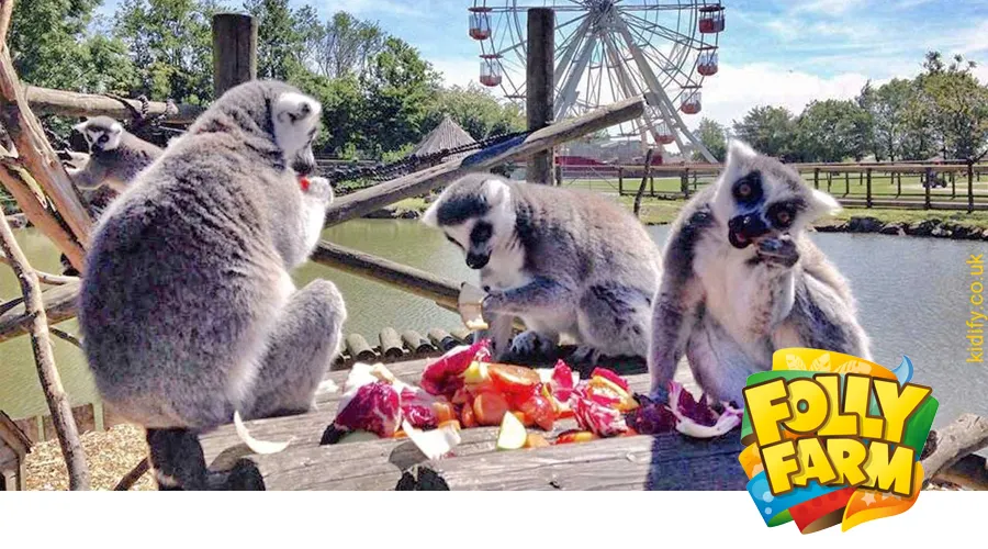 KENWOOD DMR system provides a smooth transition from analogue to digital communications at Folly Farm Adventure Park & Zoo