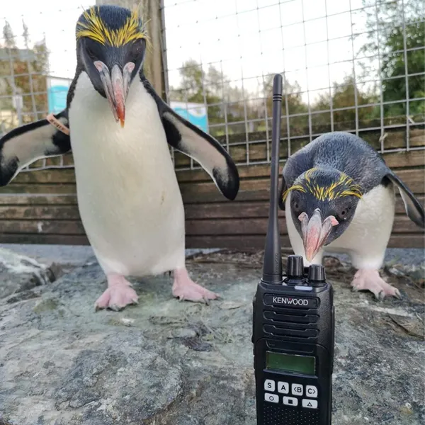 Improved Safety and Operations Efficiency with Site-Wide Coverage