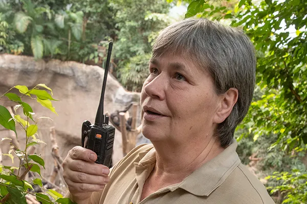 Reliable and secure communication is essential