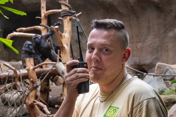 Operations in the Leipzig Zoo