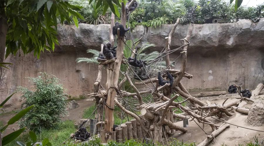 The Leipzig Zoo of the Future - Supported by KENWOOD NXDN digital technology