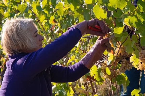 Emergency Call function