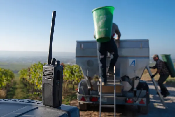 KENWOOD NXDN hand portable radios 