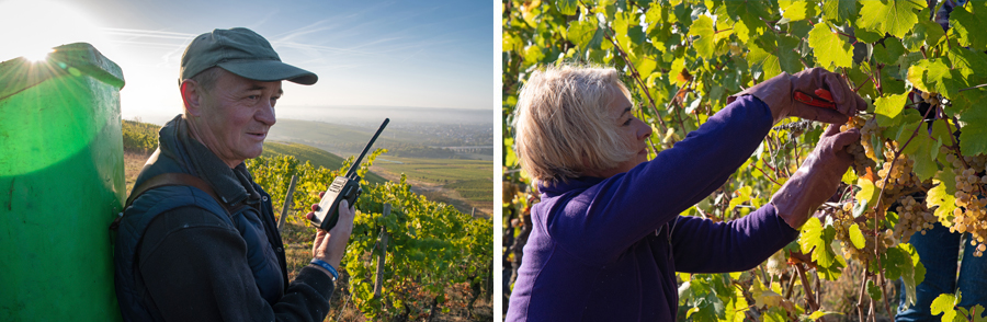 Communication with NX-3000 mobile radios