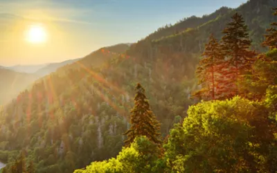 Fighting a 1 in 100 Fire in Tennessee