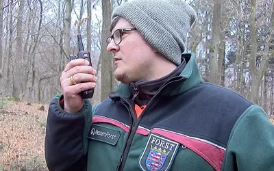 KENWOOD NXDN Range in the Foresty sector