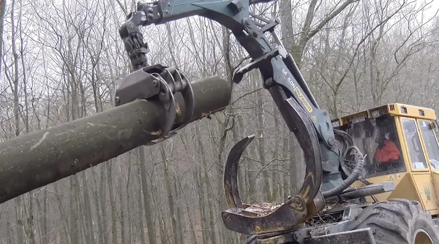 KENWOOD technology in the forestry sector