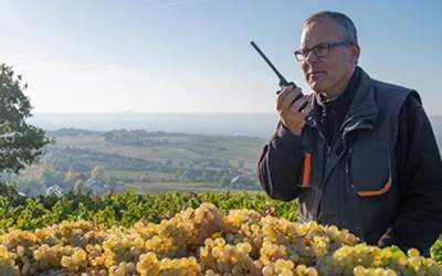 KENWOOD Communications at Robert Weil