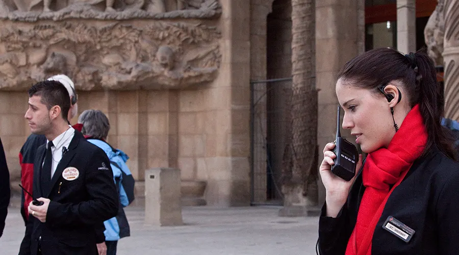 Visitor Attractions Market Sector