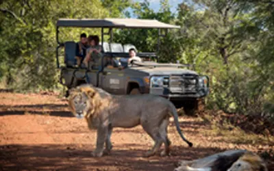 KENWOOD Communications Qwabi Private Game Reserve