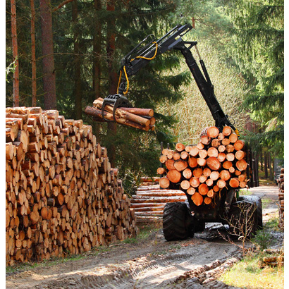 Forestry Market Sector