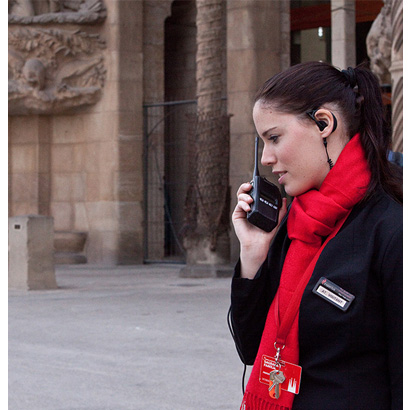 Theme & Visitor Attractions Market Sector