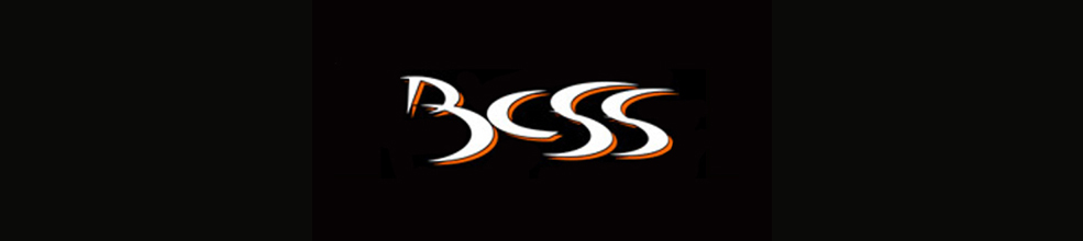 BCSS logo banner