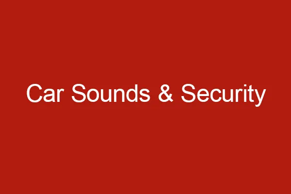Car Sounds and Security logo