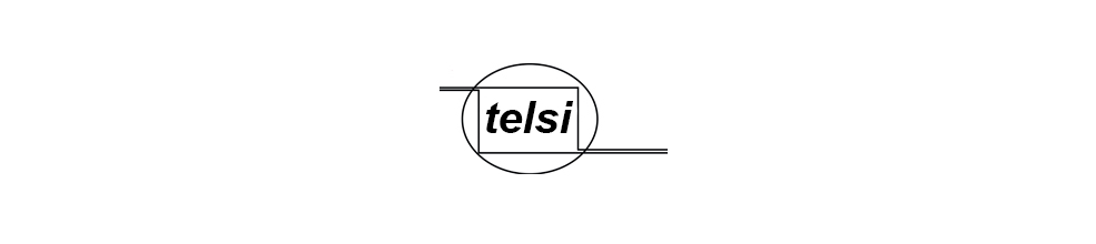 Telecommunication Systems LLC logo banner